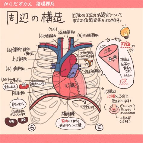 心底位置